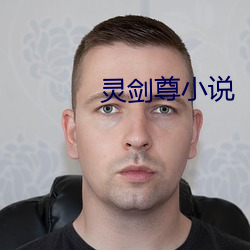 灵(靈)剑(劍)尊小说