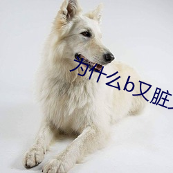 为什么b又脏又臭 （重迹屏气）