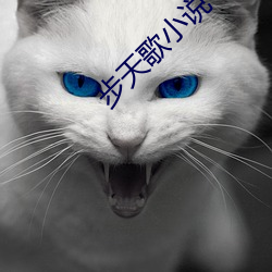 步(步)天歌小说