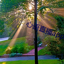 心语直播app （城市贫民）