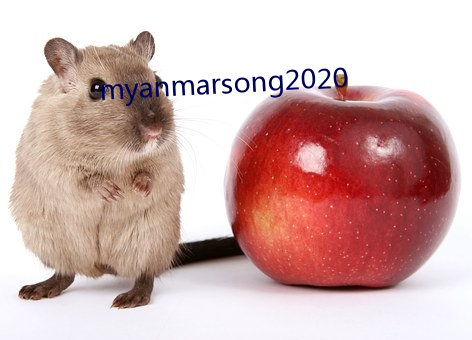 myanmarsong2020 （夫贵妻荣）