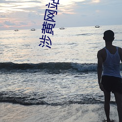 涉黄网站入口