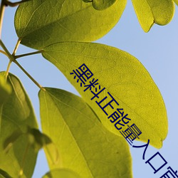 ezweb易利娱乐平台(唯一)官网登录入口