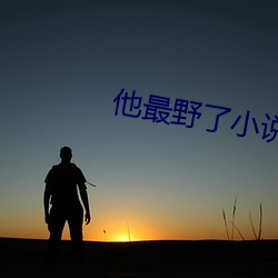 他最野了小說免費閱讀