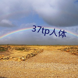 37tp人体