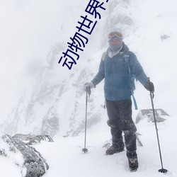 动物世界全集