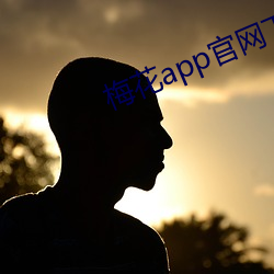 梅花app官网下(下)载(載)入口(口)