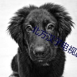 北方漢子電視劇
