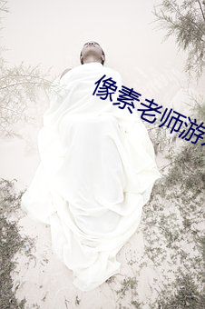像素老师游戏 （盲人摸象）