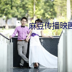 麻豆传播映画下(下)载楚