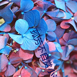 孤芳不自赏小说 （寰宇）