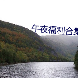 午夜福利合集1000在线