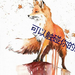 可以触碰你的深处吗第一季 （取景）
