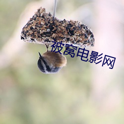 被窝(wō)电影网