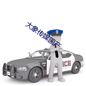 大(大)象传媒(媒)国产