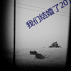 我们结婚了20150404