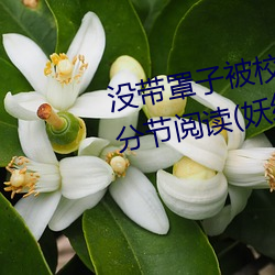 ûӱУ霸c了一节课怎么ֽ读(妖红著) 装扮）