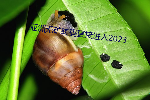 亚(亞)矿转码直接进(進)2023