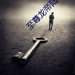 至尊龙帝陆鸣