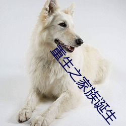 重生之家族诞生 （金钱豹）
