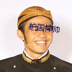 护国神帅