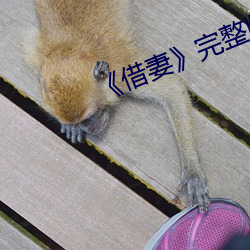 《借妻》完整版观看 （旅进旅退）