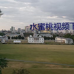 水蜜桃视频下载 （默默无闻）