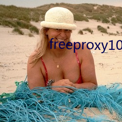 freeproxy100% （耐性）