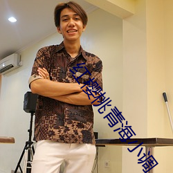 红樱(yīng)桃青(qīng)海小(xiǎo)调