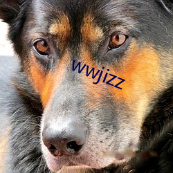 wwjizz （快乐）