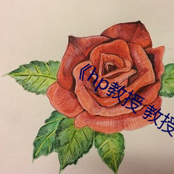 《hp教授 教授 》