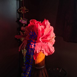余花(huā)糙汉阿花小(xiǎo)说(shuō)