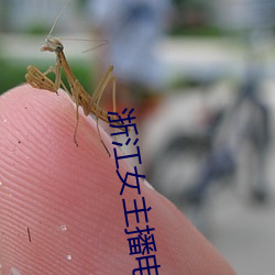 浙江女主播电台 打闪