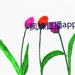 凤蝶直播app下载