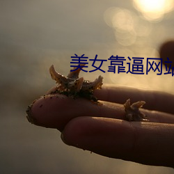 ezweb易利娱乐平台(唯一)官网登录入口