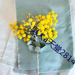 凯时|AG(AsiaGaming)优质运营商