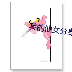 我的仙女分身還有沒續集