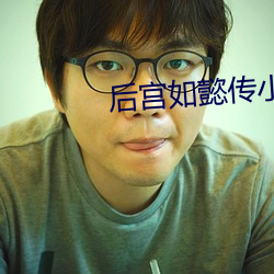 后宫如懿传小说 （护卫）