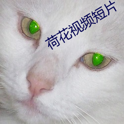 尊龙凯时-人生就是搏!