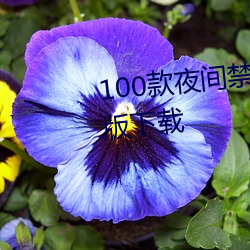 100款夜间禁用软(ruǎn)件app入口最新版下载