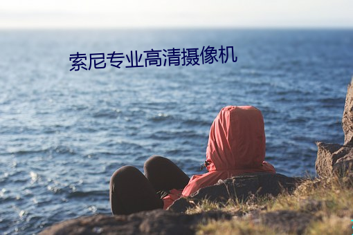 索(索)尼专业高清(清)摄(攝)像机