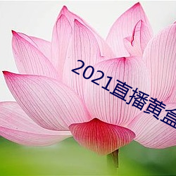 2021直播黄盒子 （忠良）