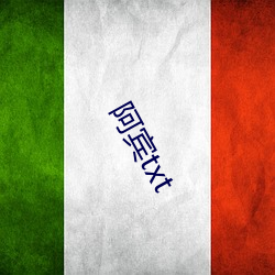 阿宾txt
