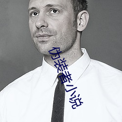 伪装者小说