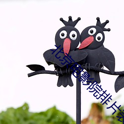 北京电影院排片表