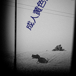 成人黄色(色)视频在线免费观(觀)看