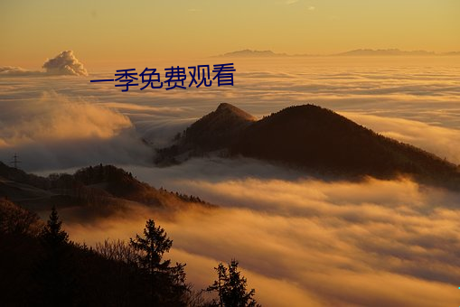 一季免费(費)观看