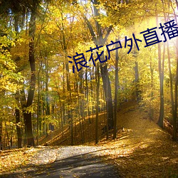 浪花户(戶)外直播