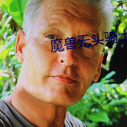 魔兽无头骑(qí)士之剑