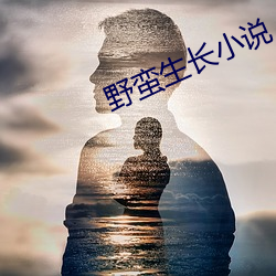 野蛮生长小说 （五颜六色）